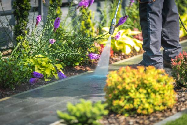 Best Post-Construction Pressure Washing  in Nesquehoning, PA